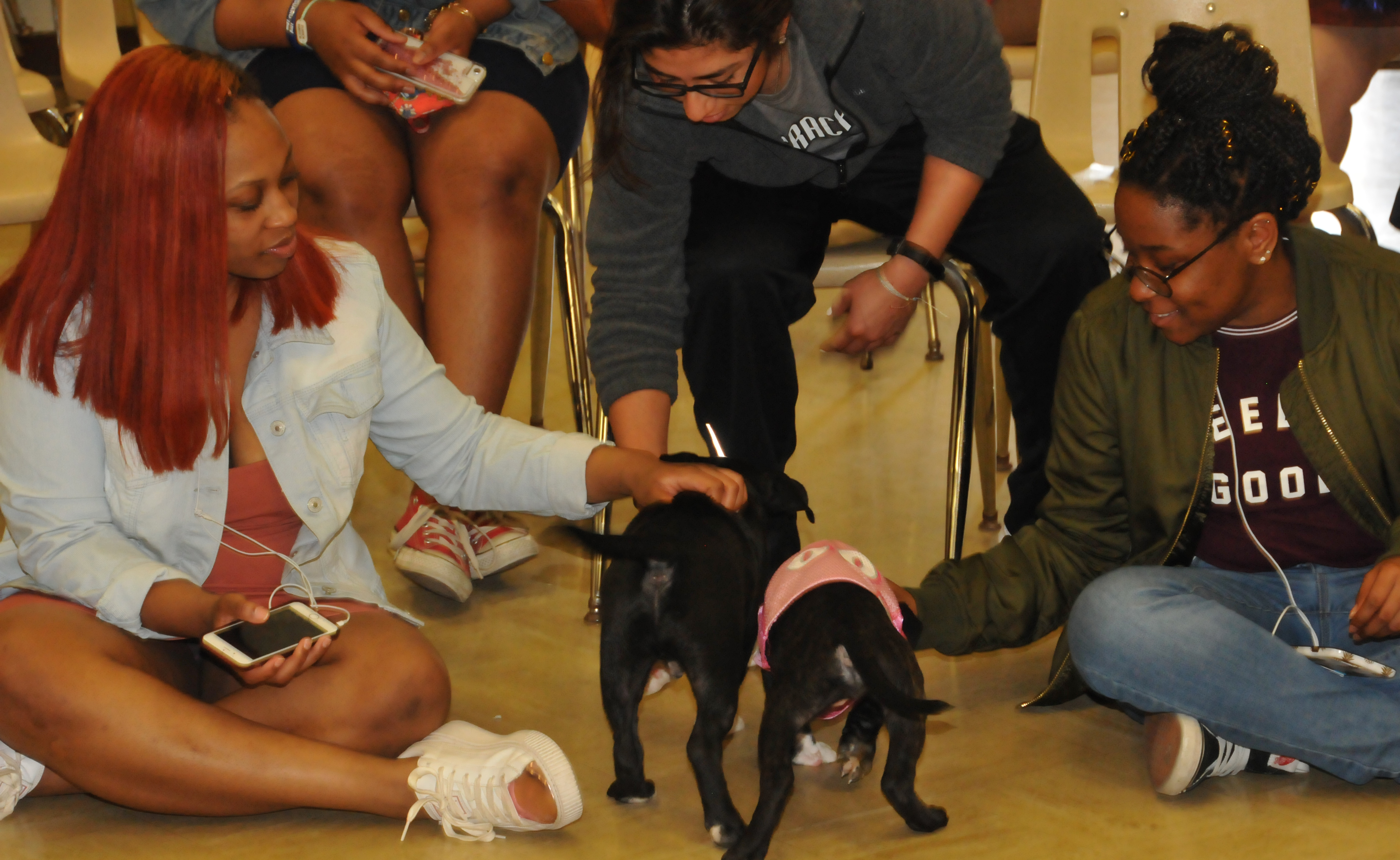 Students enjoy Dog Therapy Day